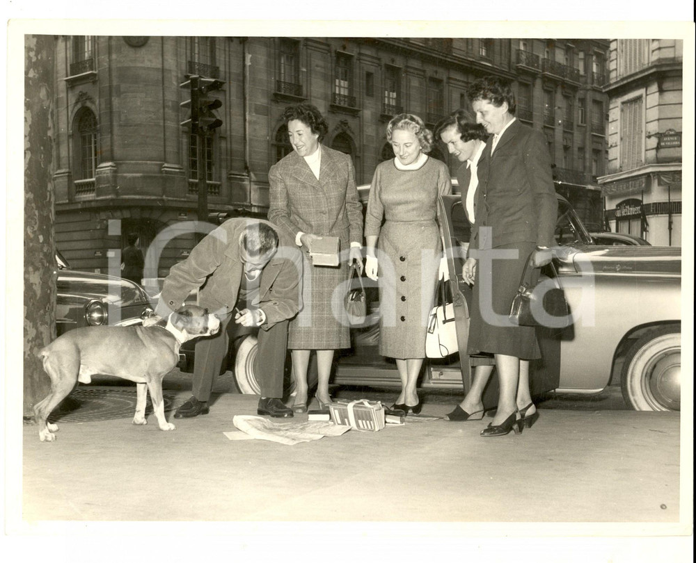Fotografia d epoca originale 1970 ca PARIS Gruppo di turiste con un cane Foto CURIOSA 24x20 cm 1