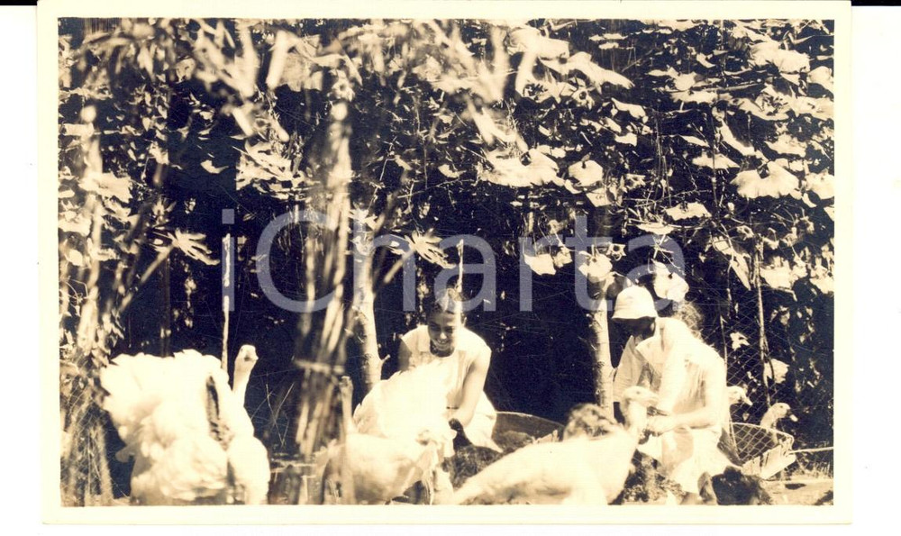 Fotografia d epoca originale 1930 ca AREA LOMBARDA La cura delle oche Foto cartolina VINTAGE FP 1