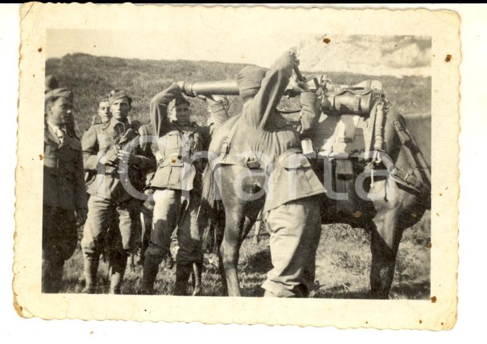 Fotografia d epoca originale 1940 ca WW2 ZONA DI GUERRA Soldati caricano armi su un cavallo Foto 10x7 cm 1