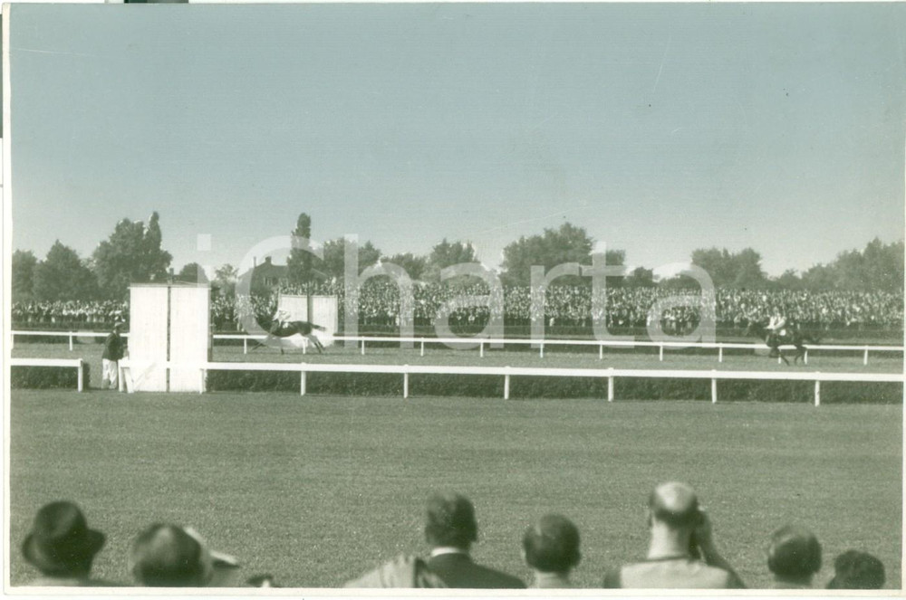 Fotografia d epoca originale 1930 ca BUDAPEST HU Ippica Gara di galoppo al MAGYAR DERBY Fotografia 1