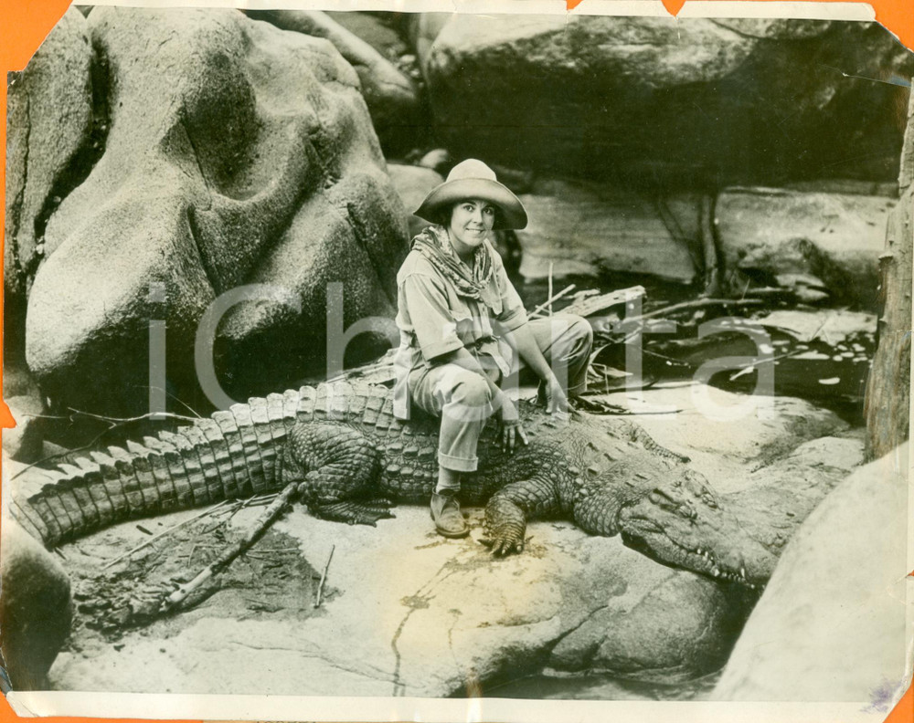 Fotografia d epoca originale 1927 GUASHO NYERO RIVER AFRICA Osa JOHNSON cavalca coccodrillo DANNEGGIATA 1