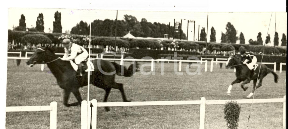 Fotografia d epoca originale 1939 MILANO Ippica  SAN SIRO Arrivo del PREMIO BIMBI vinto da DE FERRARI Foto 1