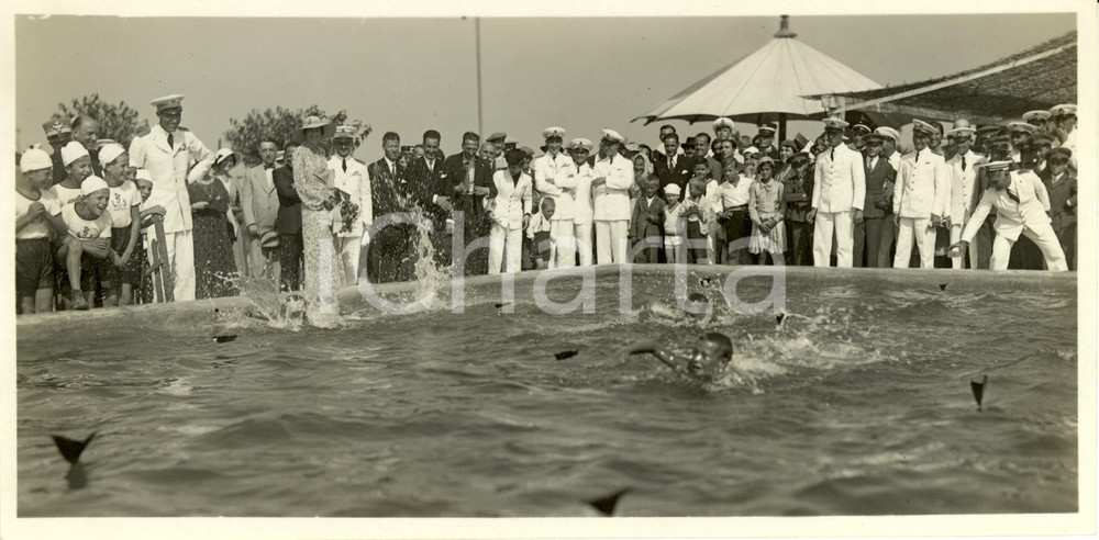 Fotografia d epoca originale 1932 MERNACASTAGNEVIZZA Slovenia Duchi AOSTA gare nuoto Colonie Elioterapiche 1