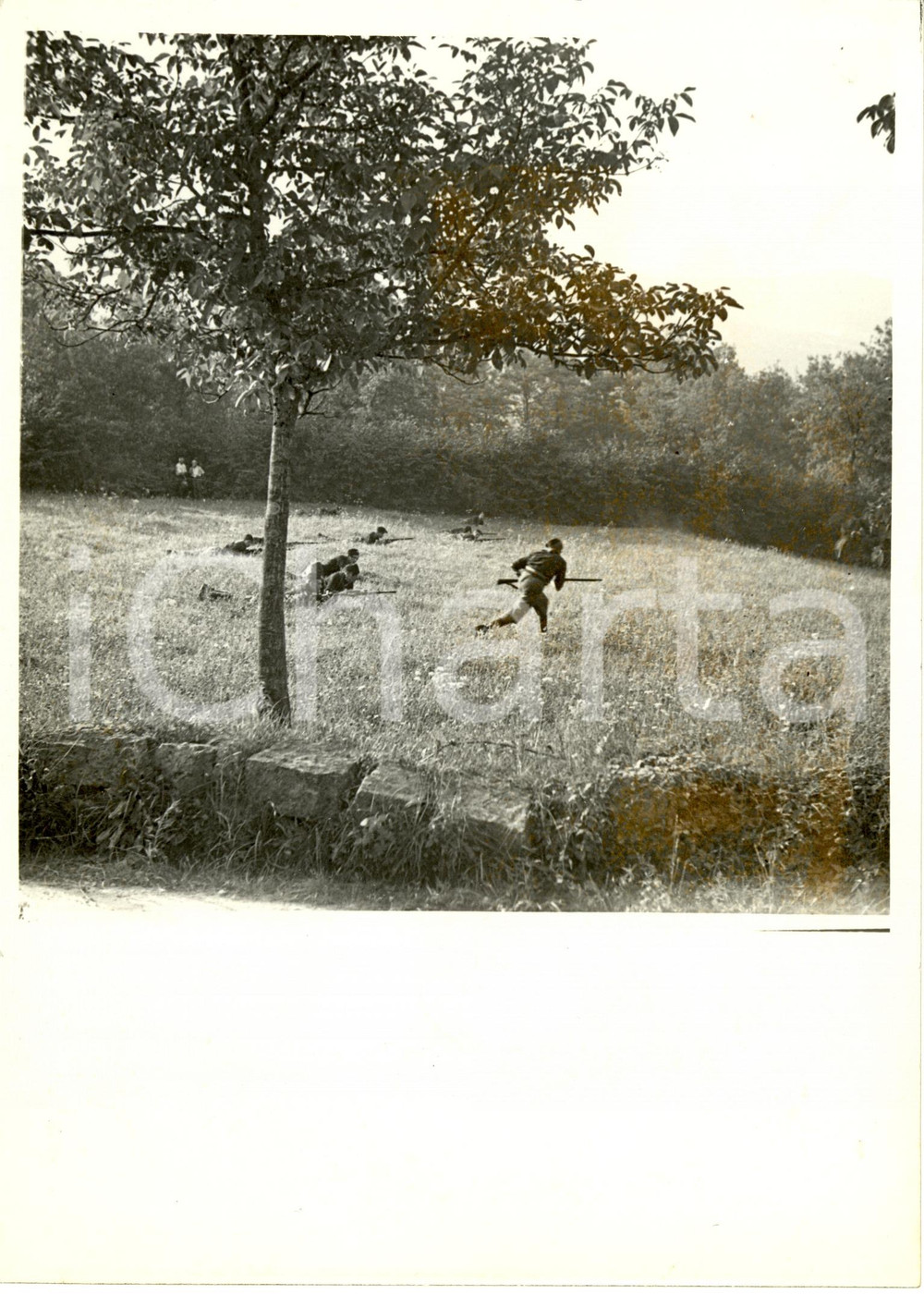 Fotografia d epoca originale 1937 MILANO Avanguardisti durante esercitazione militare al parco Fotografia 1
