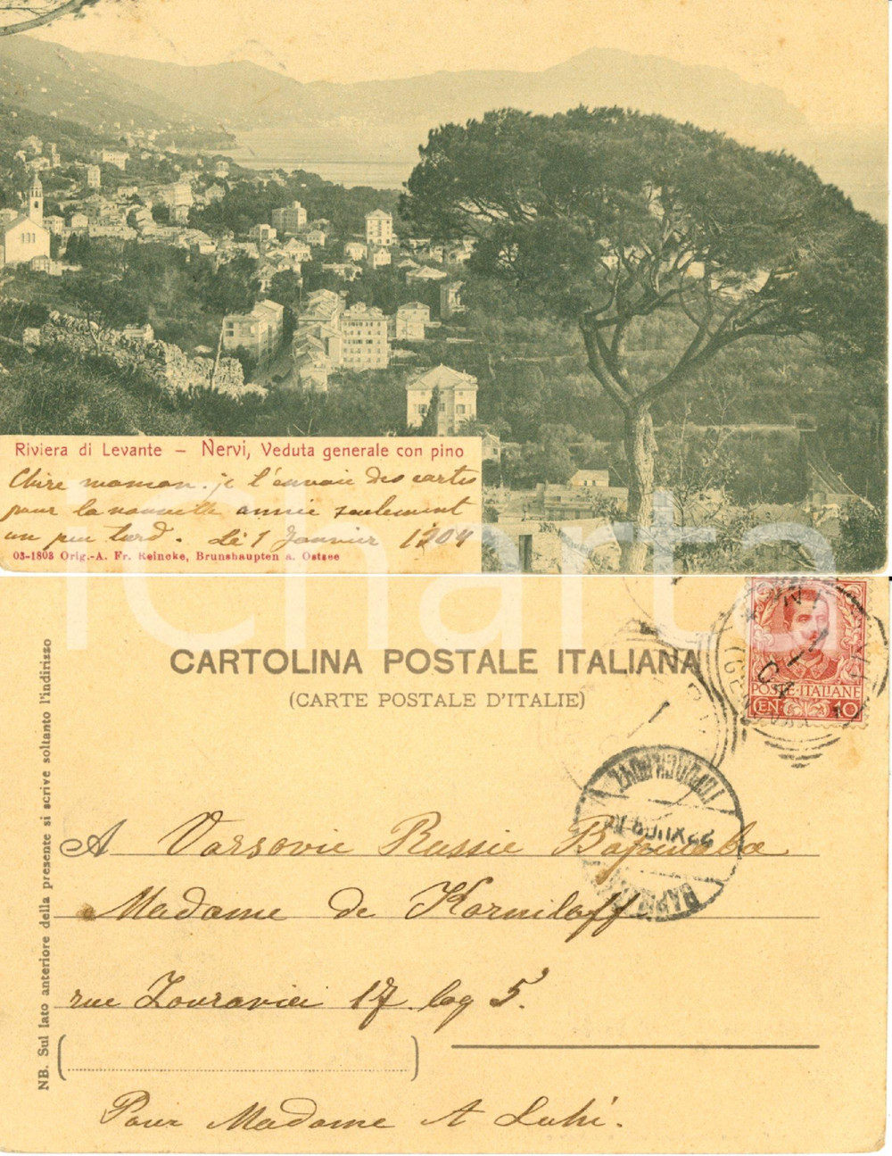 Cartolina originale da collezione 1904 STORIA POSTALE GENOVA NERVI Veduta con pino Annullo cittÃ  di VARSAVIA 1
