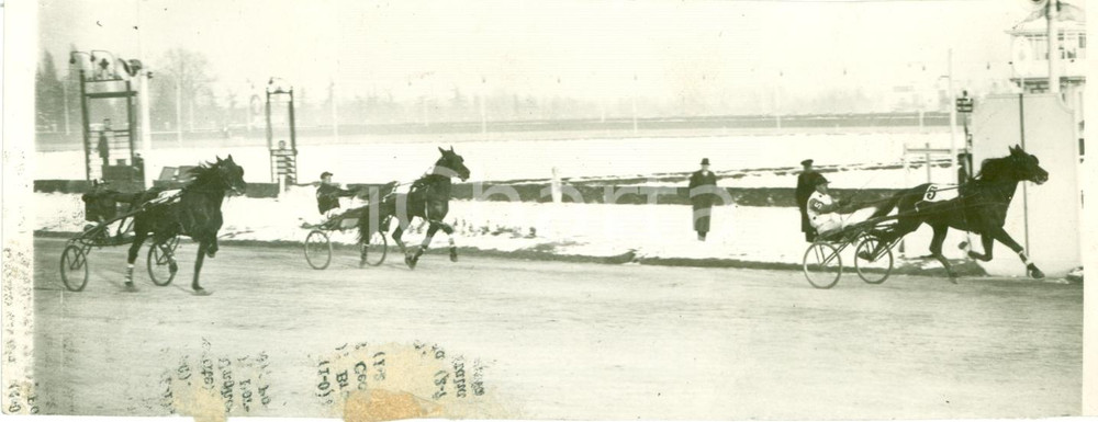 Fotografia d epoca originale 1939 MILANO Ippica Cavallo FRECCIA NERA Premio Castello Foto DANNEGGIATA 1