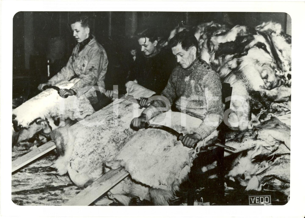 Fotografia d epoca originale 1940 FINLANDIA WW2 Operai preparano pellicce per soldati FOTOGRAFIA 1