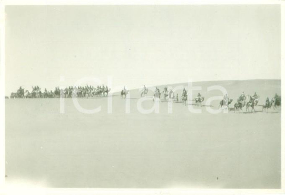 Fotografia d epoca originale 1931 CUFRA LIBIA Colonna sahariana cammelli in marcia tra dune Foto cm 8 x 6 1