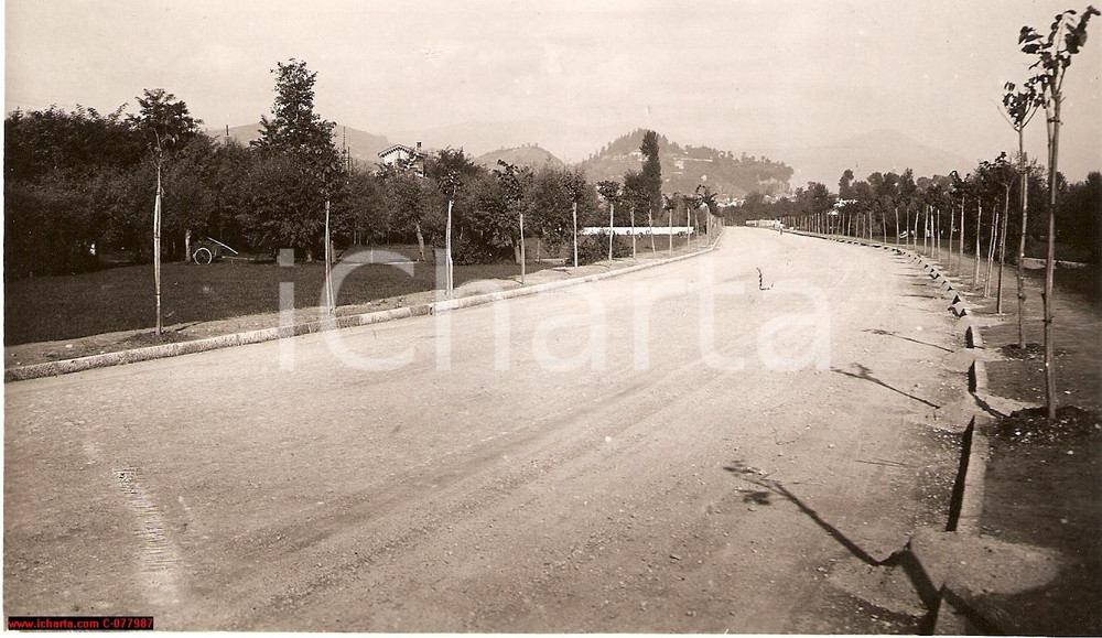 Fotografia d epoca originale 1935 Arona NO Viale della Riviera Foto viabilitÃ  1