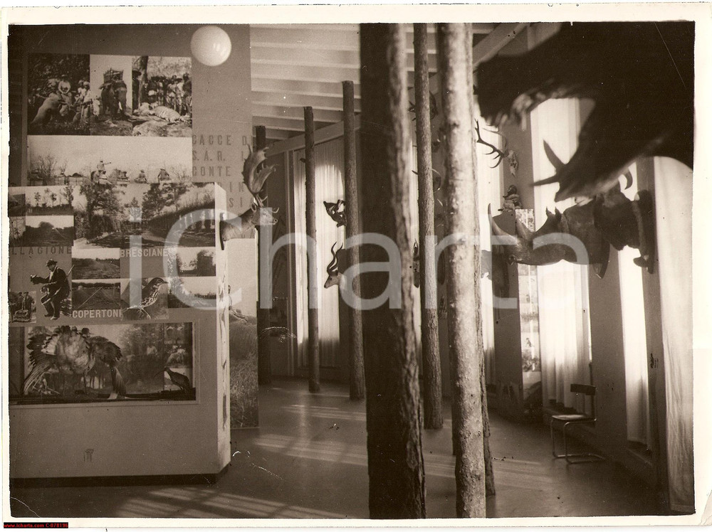 Fotografia d epoca originale 1935 MILANO Mostra dello Sport, Salone della Caccia FOTOGRAFIA 1