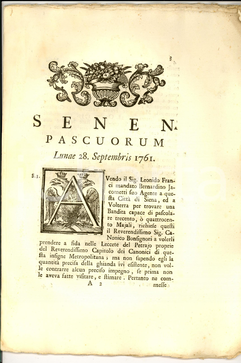 Documento originale, autentico 1761 SIENA Lite Leonido FRANCI vs Chiesa Metropoiltana per pascolo di maiali 1