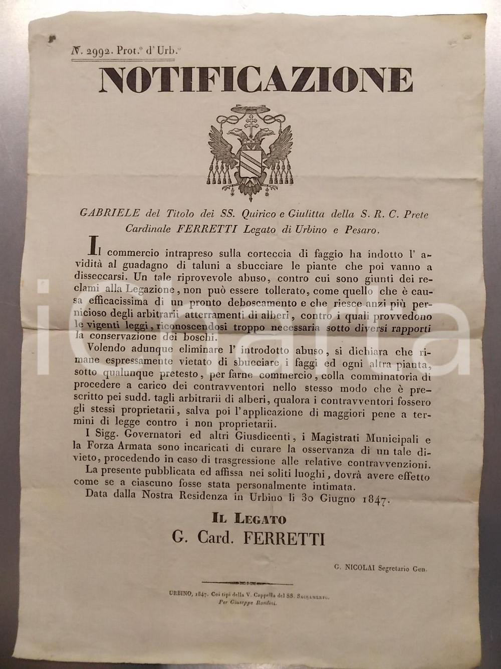 Documento originale, autentico 1847 URBINO Contro l usanza di sbucciare faggi per commercio corteccia MANIFESTO 1