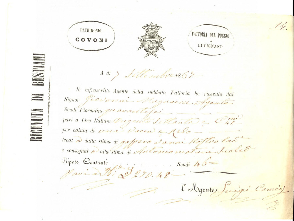 Documento originale, autentico 1867 LUCIGNANO AR Fattoria del Poggio  Patrimonio COVONI Ricevuta bestiame 1