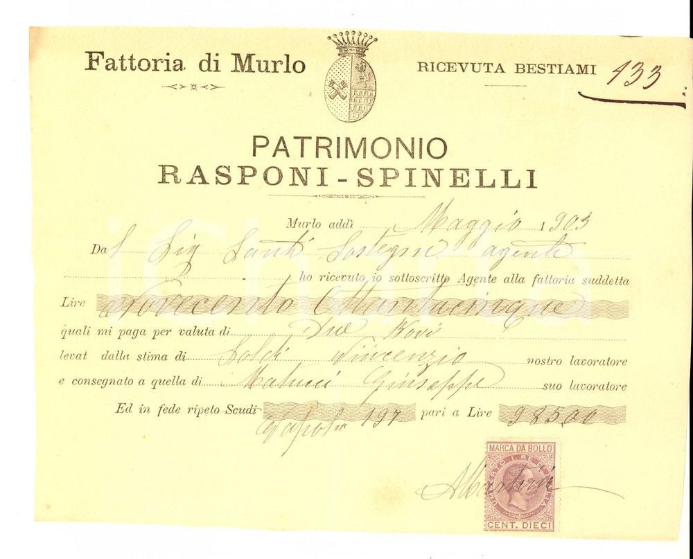 Documento originale, autentico 1903 SAN CASCIANO VAL DI PESA FI VILLA di MURLO  Bestiami RASPONISPINELLI 1