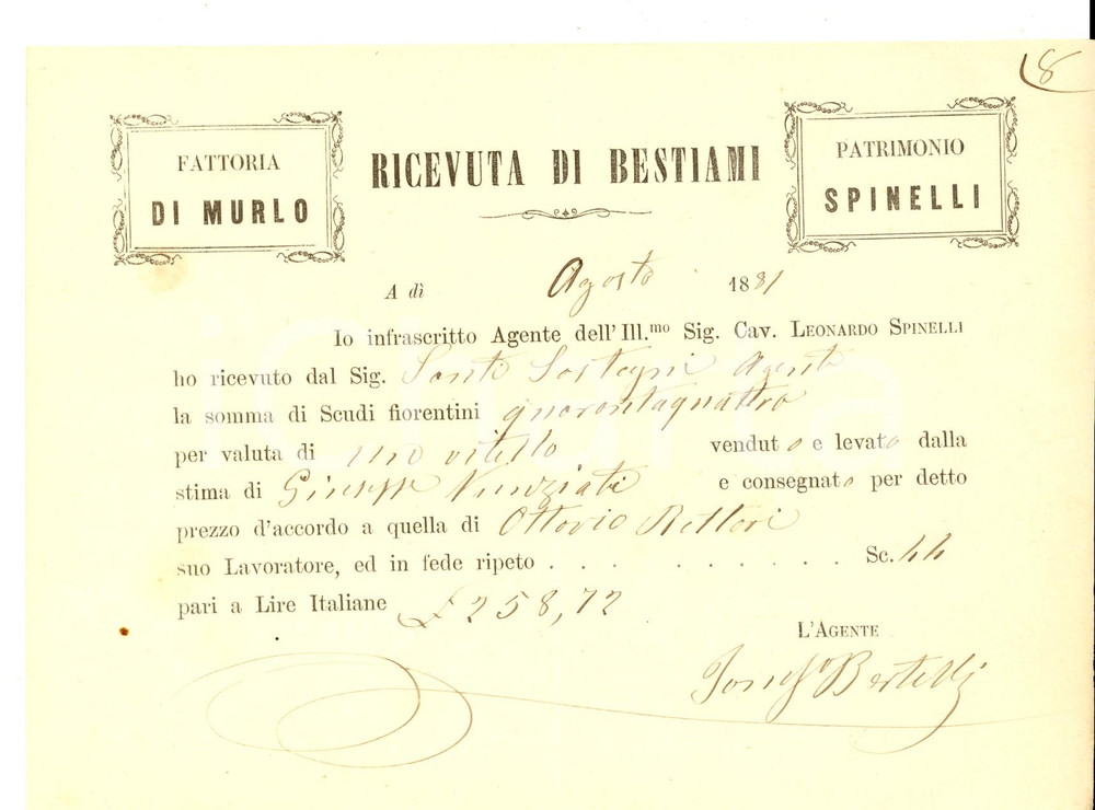 Documento originale, autentico 1881 SAN CASCIANO VAL DI PESA FI VILLA di MURLO  Bestiami Patrimonio SPINELLI 1
