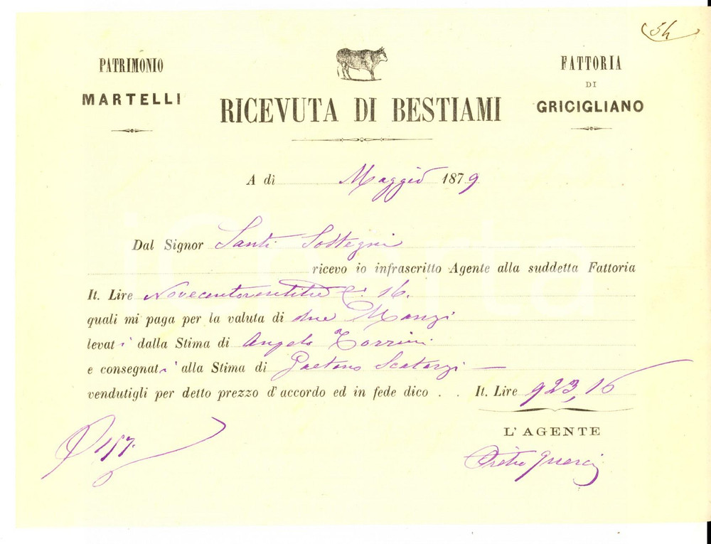Documento originale, autentico 1879 Fattoria di GIRCIGLIANO FI Patrimonio MARTELLI  Ricevuta di bestiami 1
