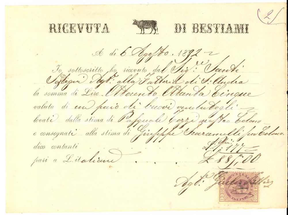 Documento originale, autentico 1892 FIRENZE ? Ricevuta per un paio di buoi all agente Santi SOSTEGNI 1