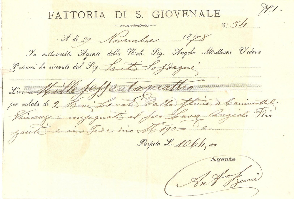 Documento originale, autentico 1878 REGGELLO FI Fattoria SAN GIOVENALE Angela MATTEONI Ricevuta bestiami 1