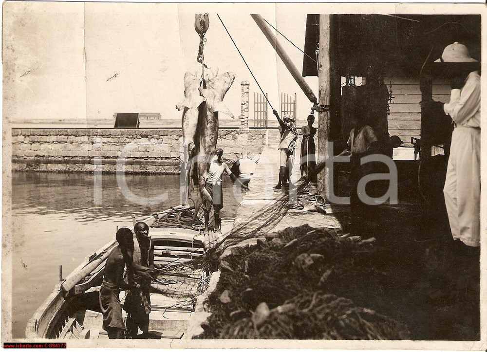 Fotografia d epoca originale 1937 MASSAUA ERITREA AOI Indigeni sbarcano pescecani al porto Fotografia 1