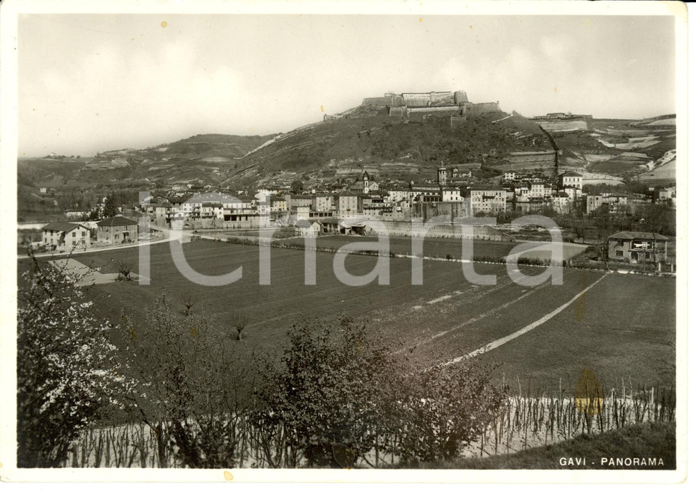 Cartolina originale da collezione 1950 ca GAVI AL Scorcio panoramico con il Forte Cartolina FG NV 1
