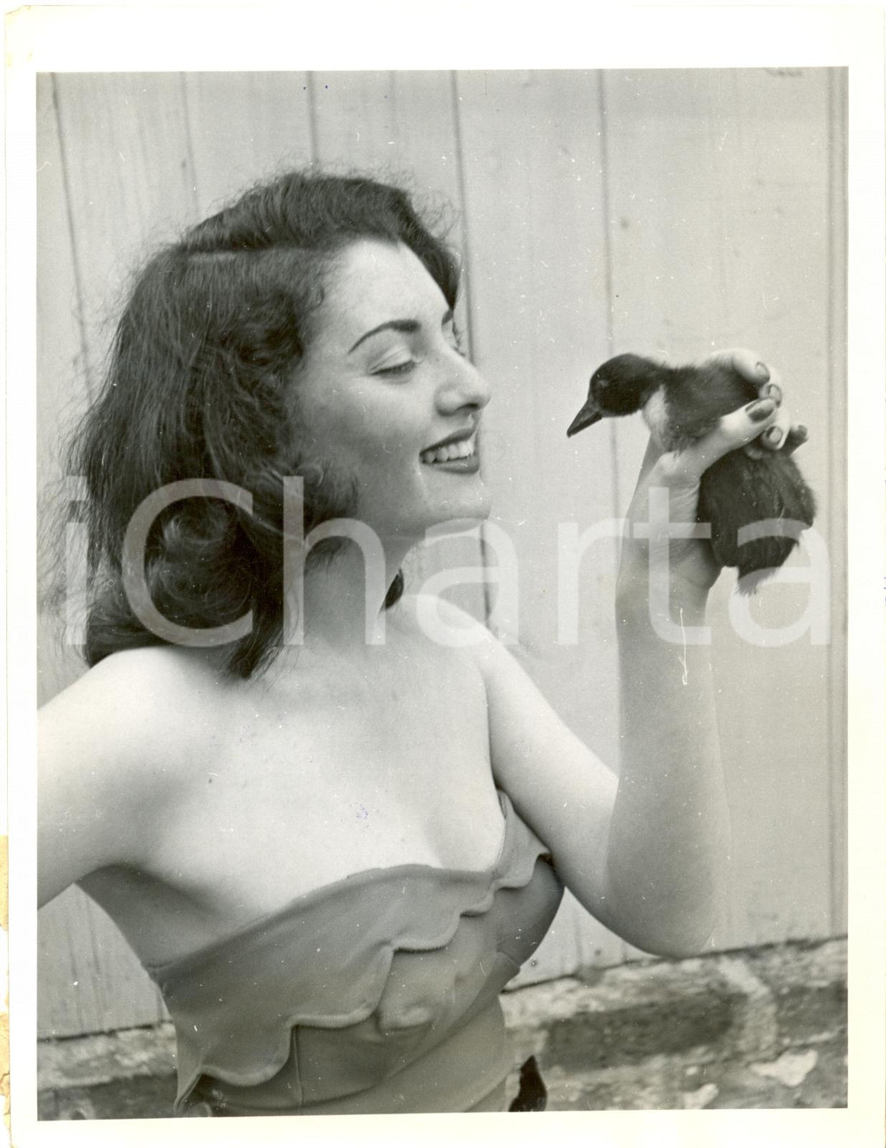 Fotografia d epoca originale 1953 LONDON L attrice Ruth SHIELL prende in mano anatroccolo a CHESSINGTON ZOO 1