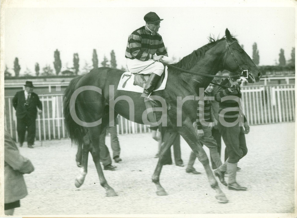Fotografia d epoca originale 1935 ca VARESE Cavallo GALOPPO vince premio all Ippodromo FOTOGRAFIA 1