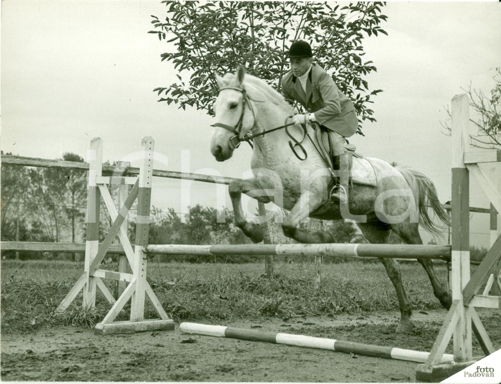 Fotografia d epoca originale 1935 ca TORINO Ippica Fantino gara di salto ostacoli FOTOGRAFIA 1