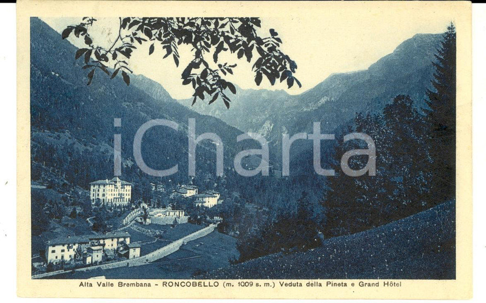 Cartolina originale da collezione 1926 RONCOBELLO BG Veduta della pineta e GRAND HOTEL Cartolina FP VG 1
