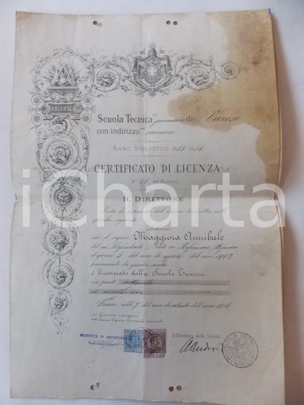 Oggetto da collezione cartaceo 1916 VARESE Scuola tecnica  Certificato di licenza di Annibale MAGGIORA 27x40 1