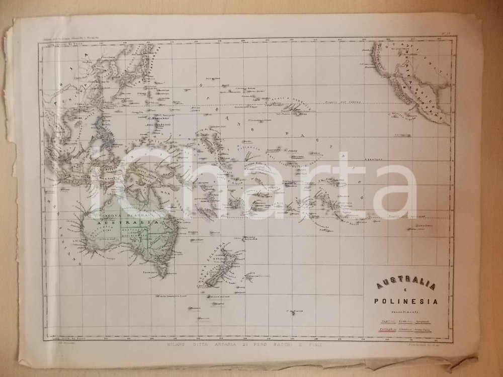 Stampa, bozzetto originale 1880 ca MALFATTI  CARABELLI Atlante Geografico  Australia e Polinesia Tav. 12 1
