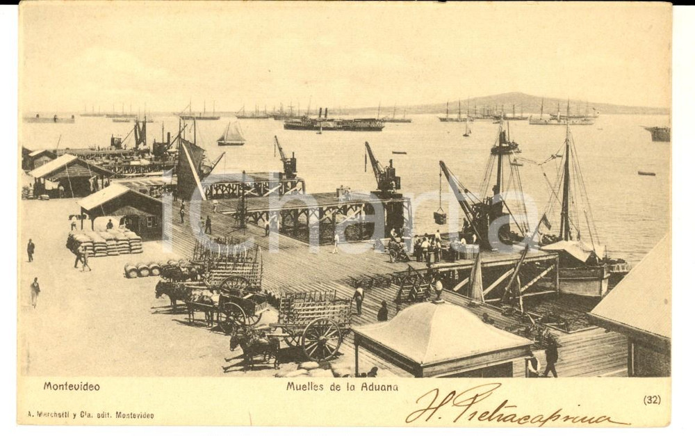 Cartolina originale da collezione 1900 ca MONTEVIDEO URUGUAY Muelles de la Aduana Cartolina ANIMATA con carri 1