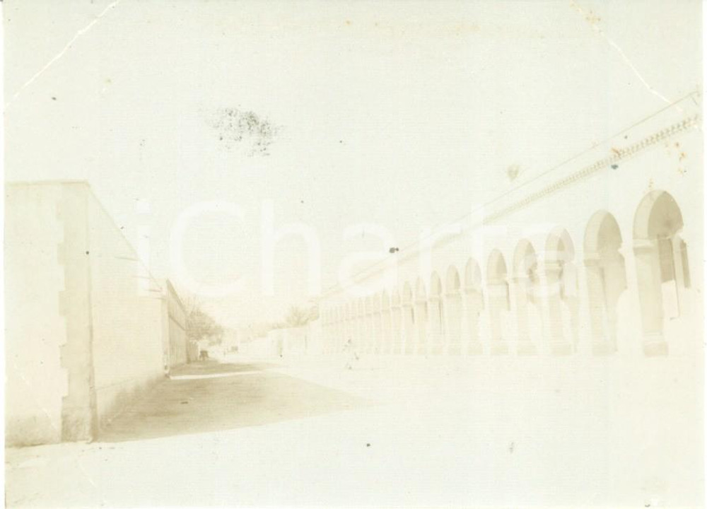 Fotografia d epoca originale 1894 LAGHOUAT ALGERIE Scorcio di Avenue CASSAIGNE Foto cm 11 x 8 1