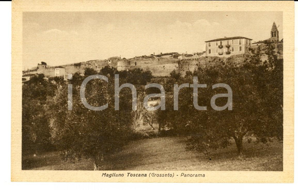 Cartolina originale da collezione 1930 ca MAGLIANO TOSCANA GR Panorama con ulivi Cartolina postale FP NV 1