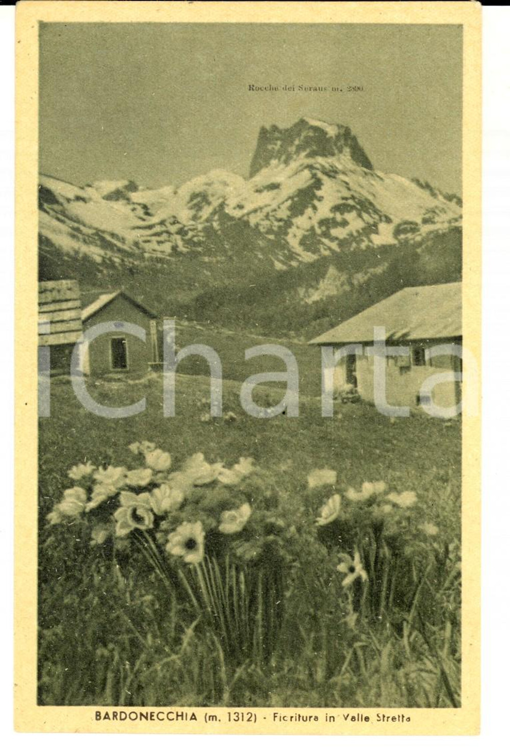Cartolina originale da collezione 1953 BARDONECCHIA Fioritura Valle Stretta Cartolina a mons. Feliciano TINIVELLA 1