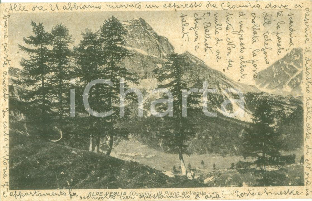 Cartolina originale da collezione 1943 ALPE VEGLIA VB Panorama con il PIano di Veglia Cartolina FP VG 1