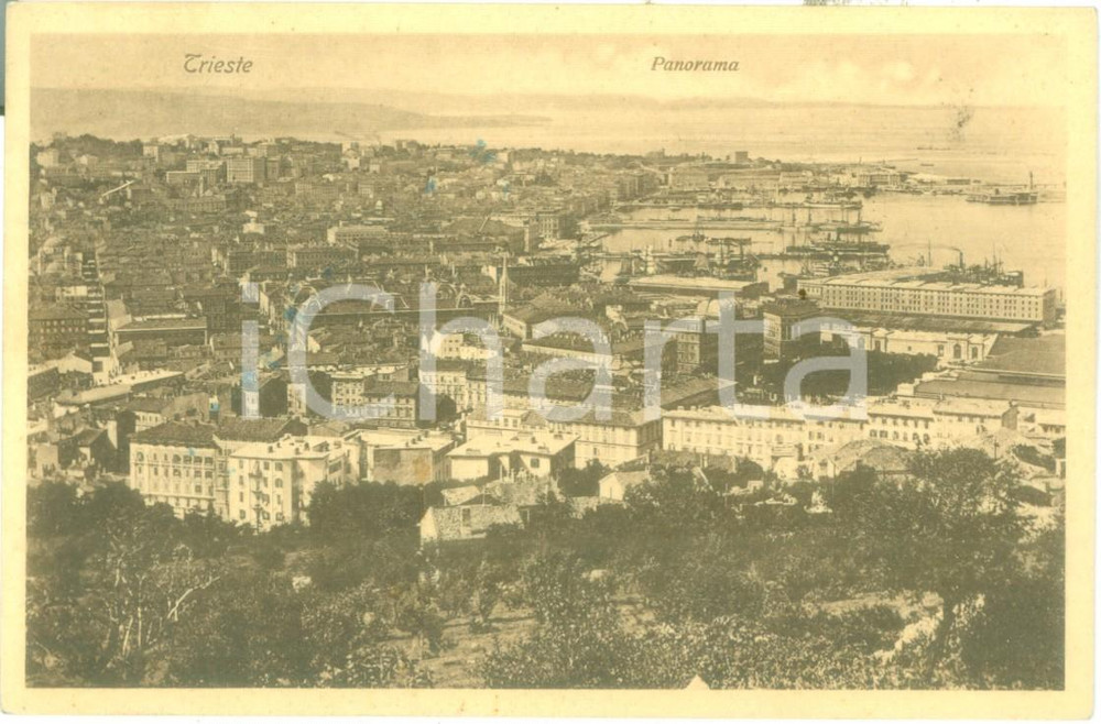 Cartolina originale da collezione 1927 TRIESTE Veduta panoramica con il porto Cartolina FP VG 1