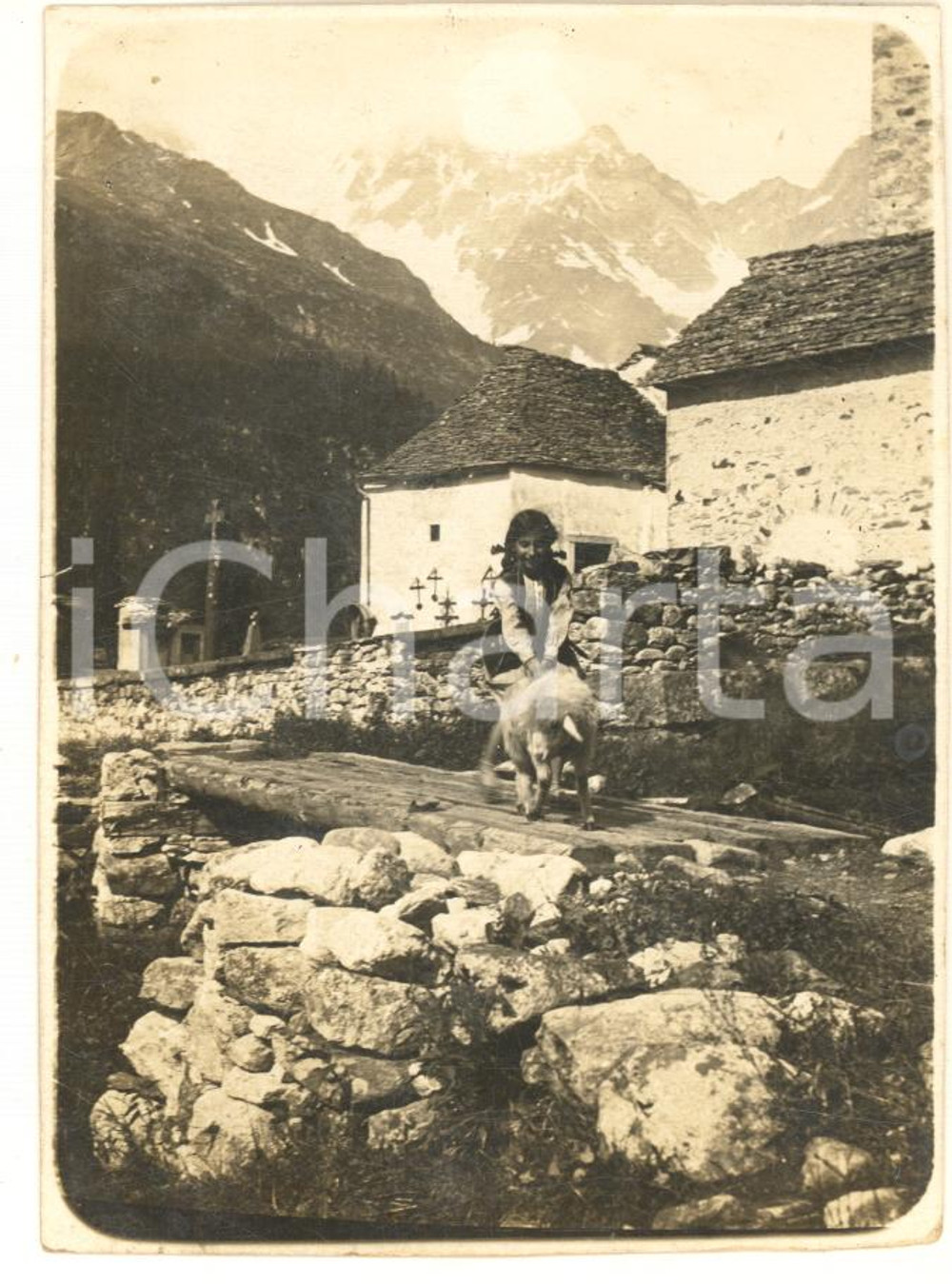 Fotografia d epoca originale 1928 MACUGNAGA VB Ritratto di bambina con una pecorella Foto VINTAGE 8x11 1