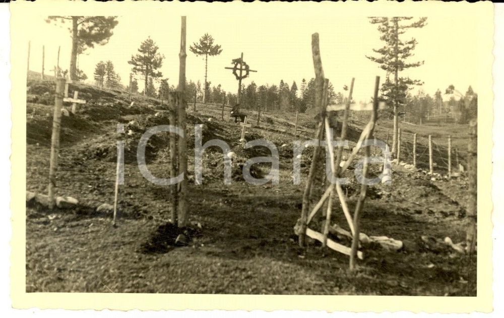 Fotografia d epoca originale 1941 WW2 ALBANIA Croci in un cimitero di guerra italiano Foto RUEDI 1
