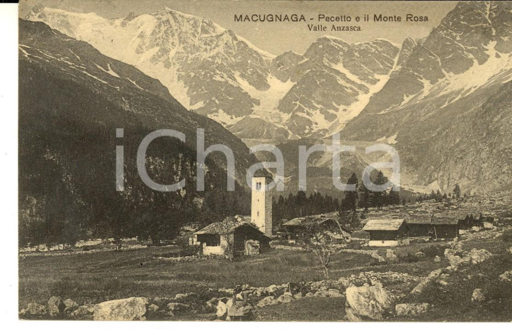 Cartolina originale da collezione 1913 MACUGNAGA Veduta con PECETTO  e il Monte ROSA Cartolina FP VG 1