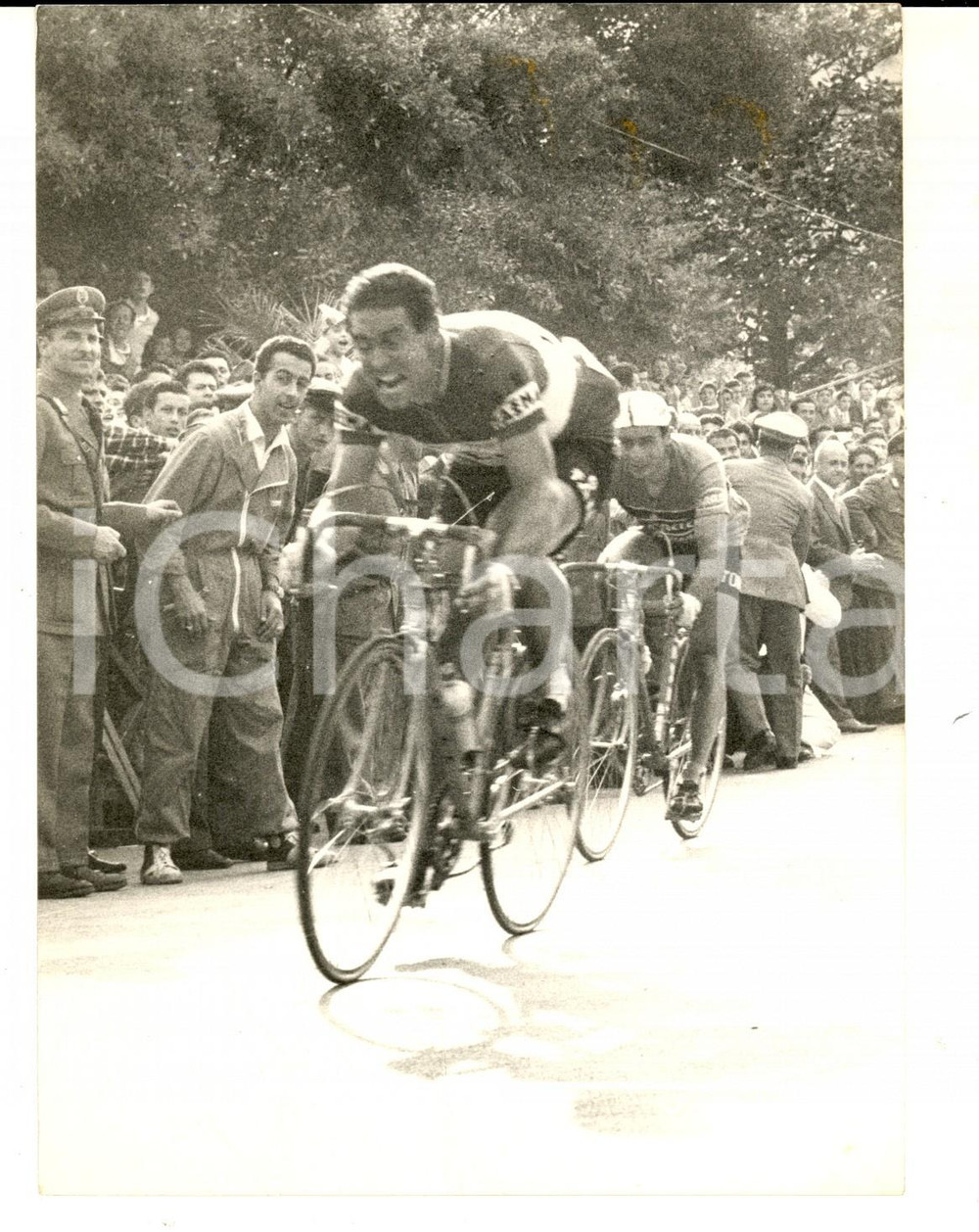 Fotografia d epoca originale 1958 CICLISMO GIRO D ITALIA Silvano CIAMPI vince la 6 tappa Fotografia 14x18 1