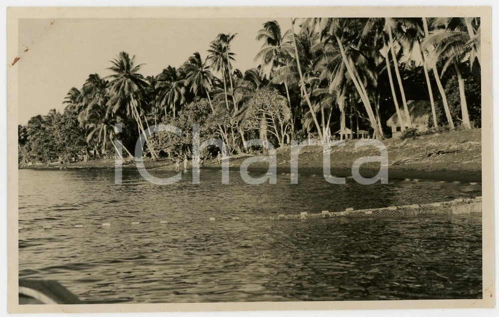 Fotografia d epoca originale 1937 MOOREA Polinesia Francese Pescatori al lavoro REAL PHOTO cm 13,5 x 8,5 1