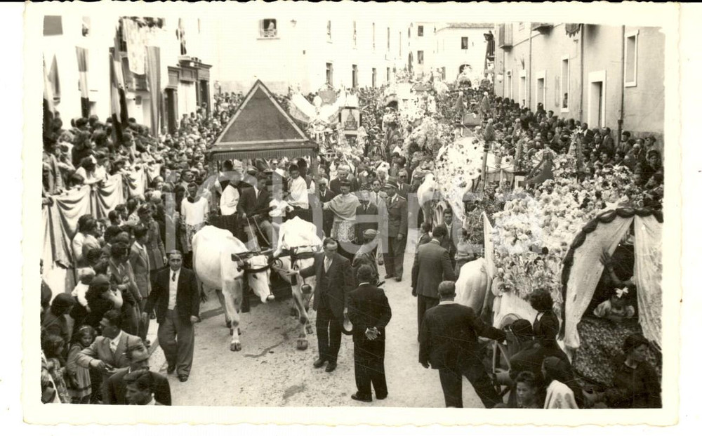 Fotografia d epoca originale 1950 ca LARINO Festa di SAN PARDO  La processione dei carri  Foto cartolina 1