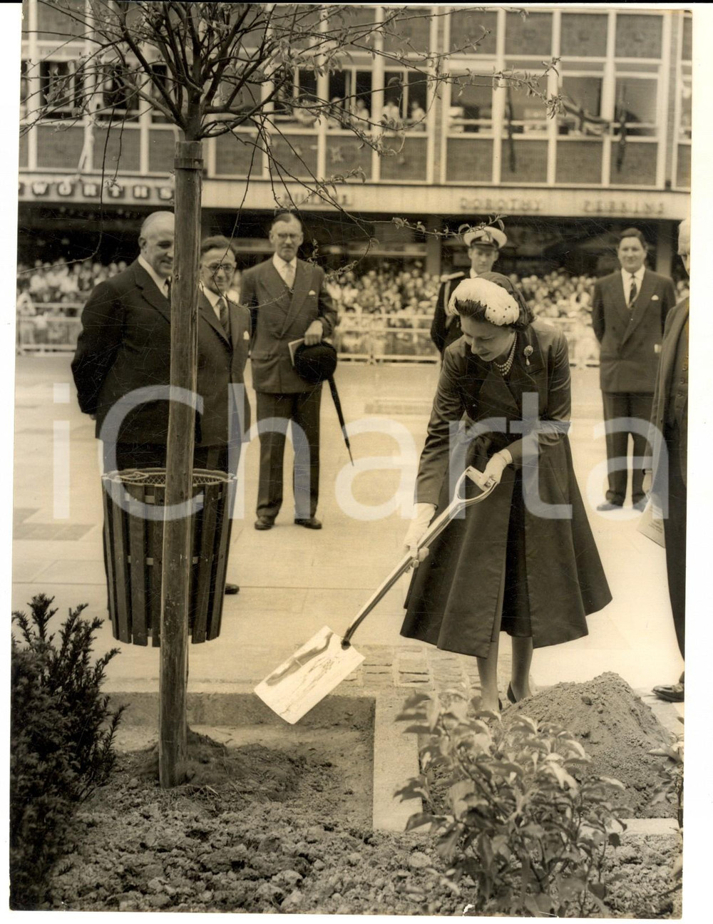 1958 CRAWLEY (SUSSEX) Queen Elizabeth plants a tree in Queen's Square *Photo