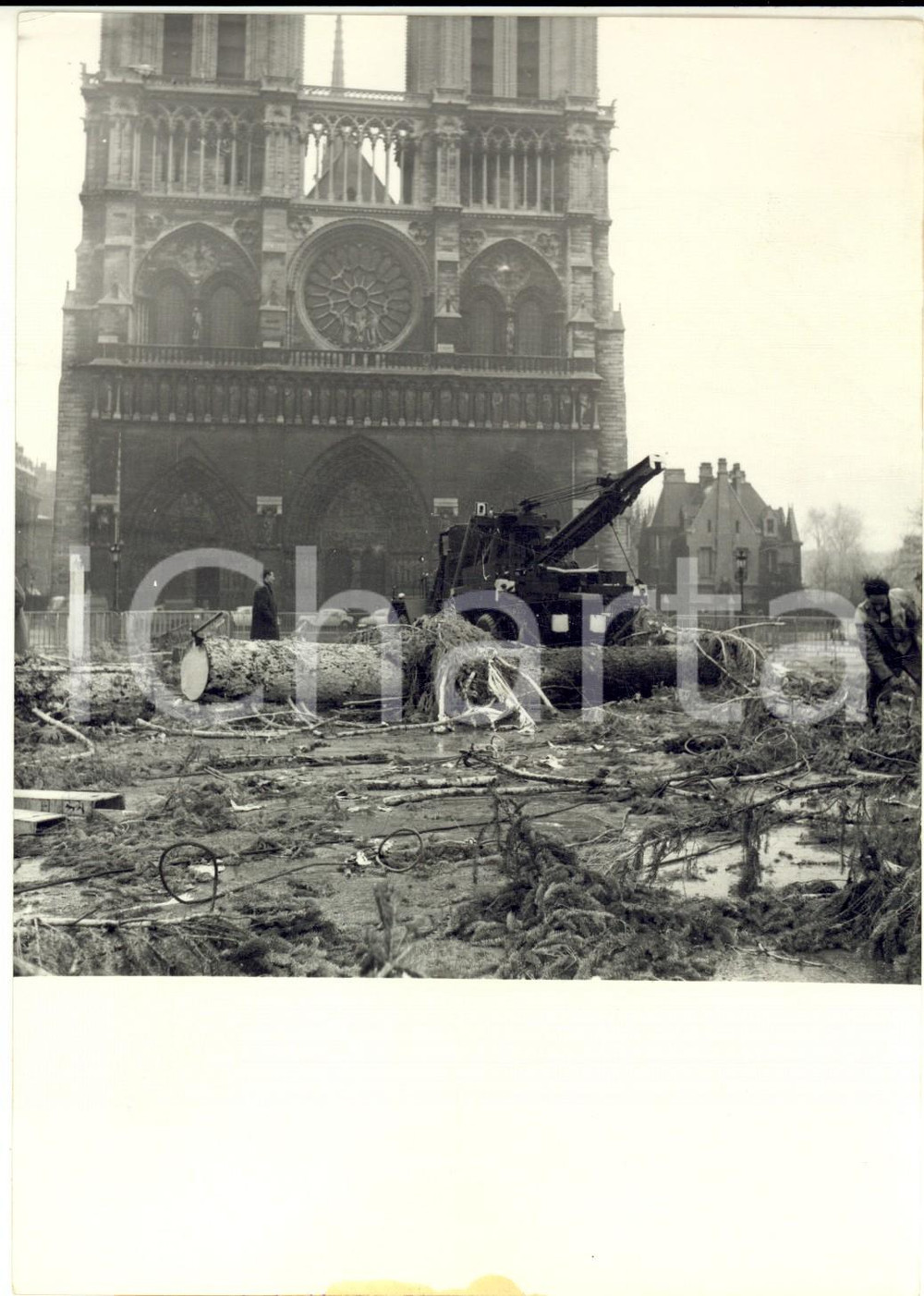 1958 ROMA Il maltempo abbatte l'abete di Natale a NOTRE-DAME - Foto 13x18 cm Fotografia d'epoca con didascalia coeva.  CONDIZIONI: G  FORMATO: 13x18 cm    originale e autentica 1