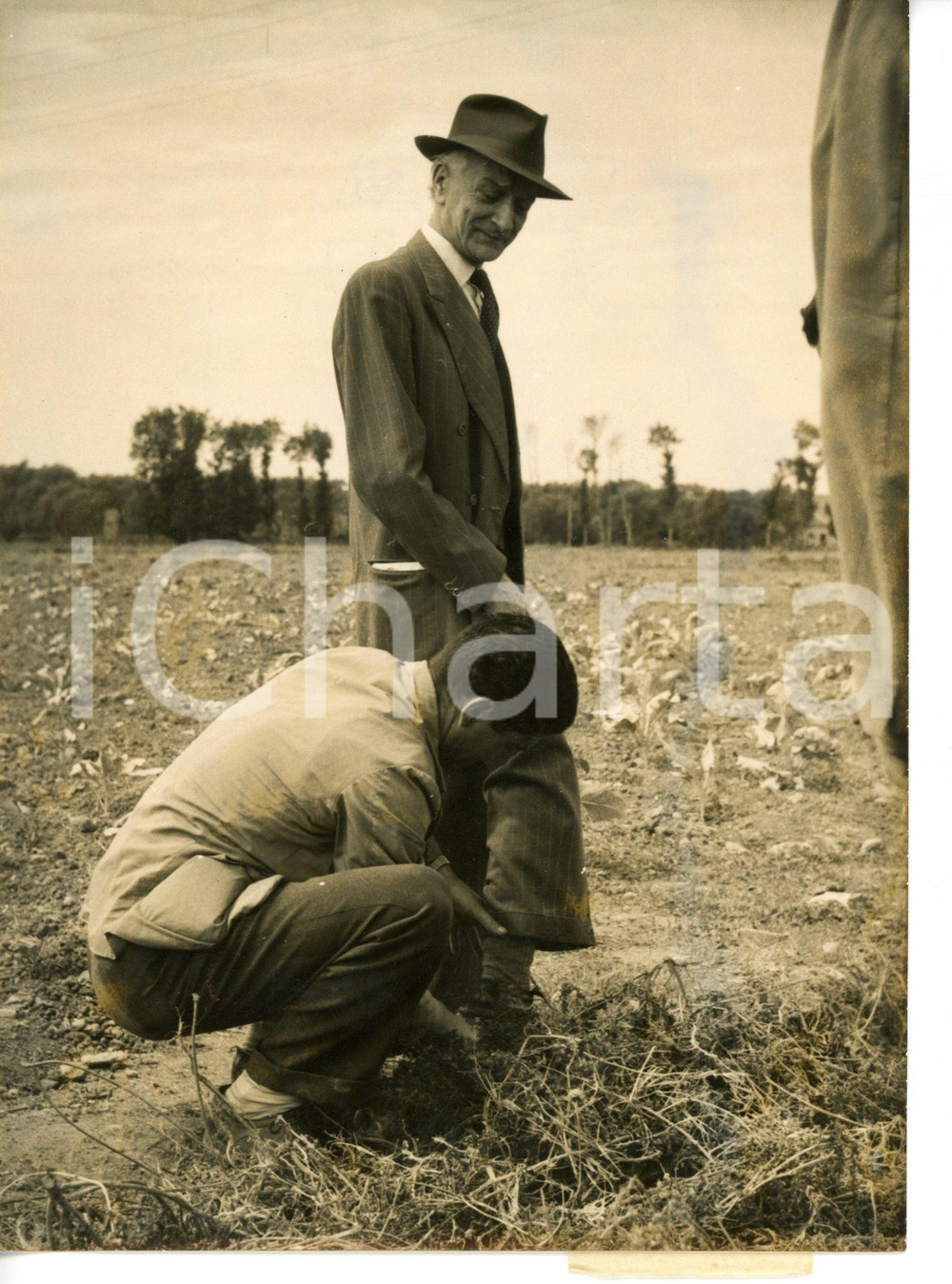 1955 SASSARI Antonio SEGNI visita la sua tenuta *Fotografia 13x18 cm