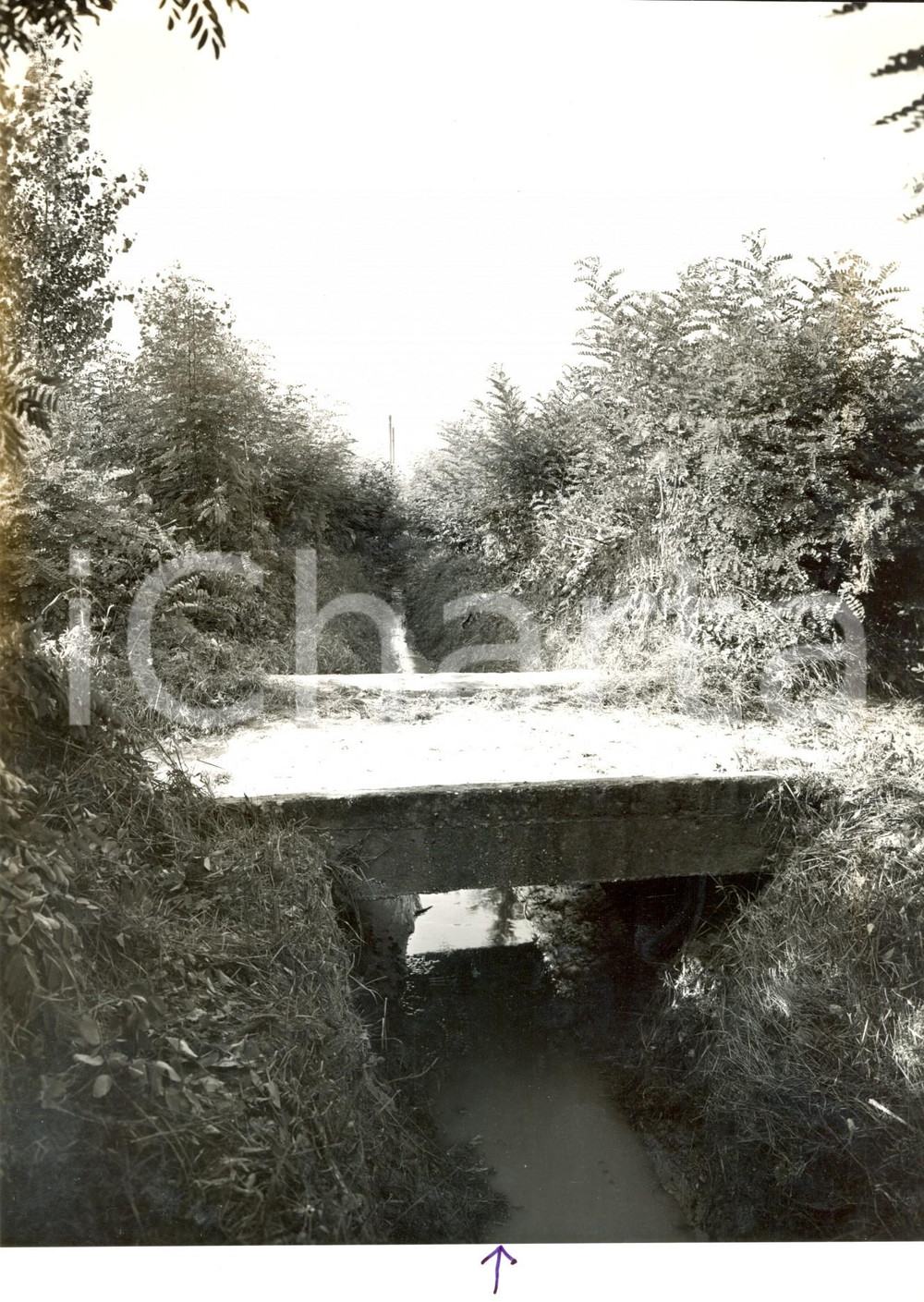 Fotografia d'epoca originale 1960 LUNGAVILLA (PV) Veduta del torrente LURIA con passerella *Fotografia 1