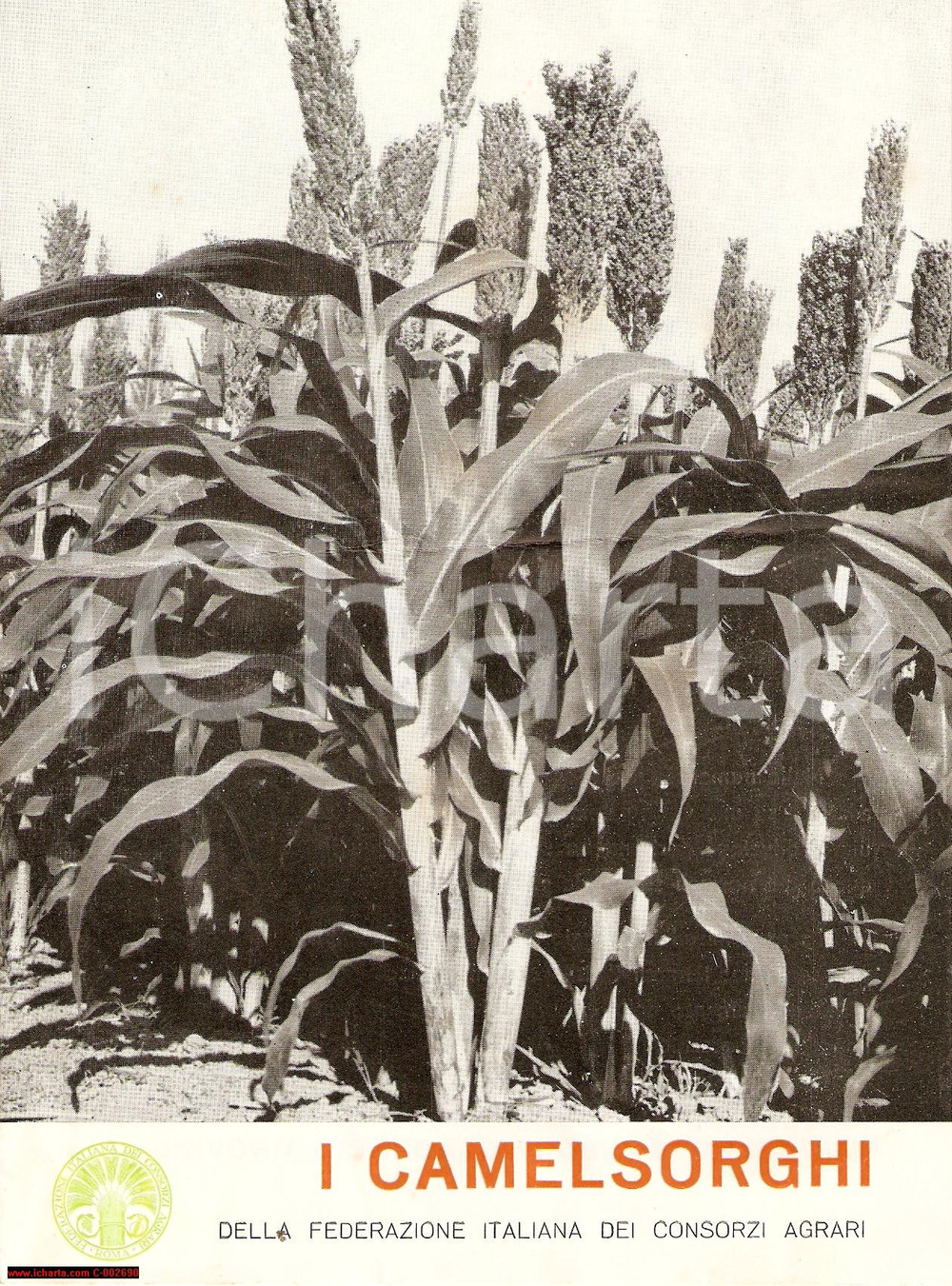 Materiale pubblicitario d’epoca 1950 ca FEDERCONSORZI I Camelsorghi - Pieghevole 1