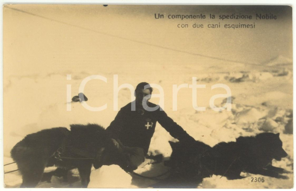 Cartolina originale da collezione 1928 Spedizione NOBILE al POLO NORD - Componente e Cani Esquimesi *Cartolina 1