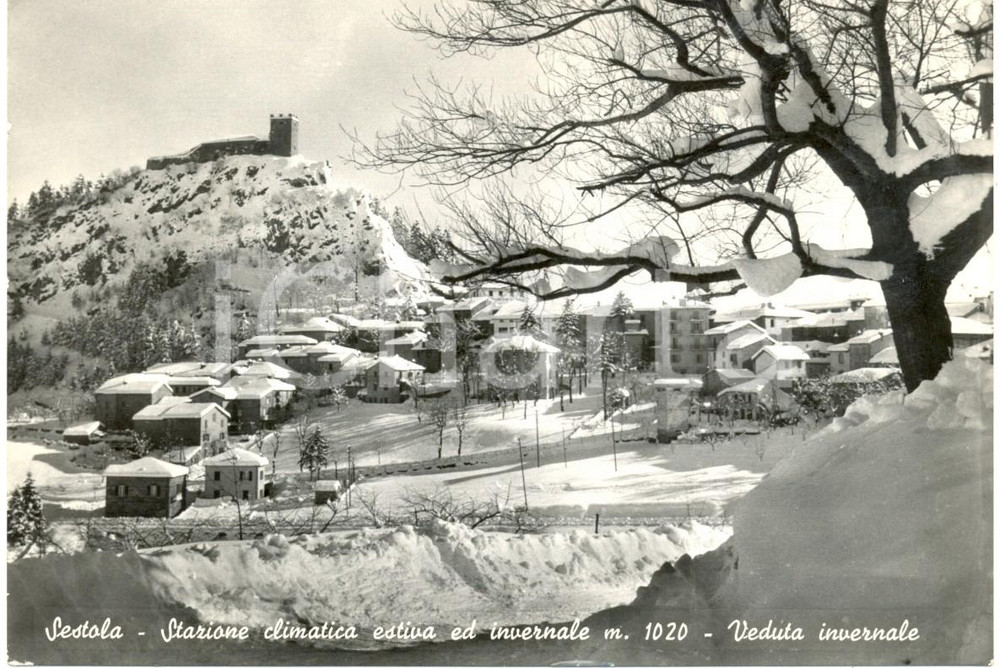 Cartolina originale da collezione 1963 SESTOLA (MO) Panoramica del paese innevato *Cartolina FG VG 1