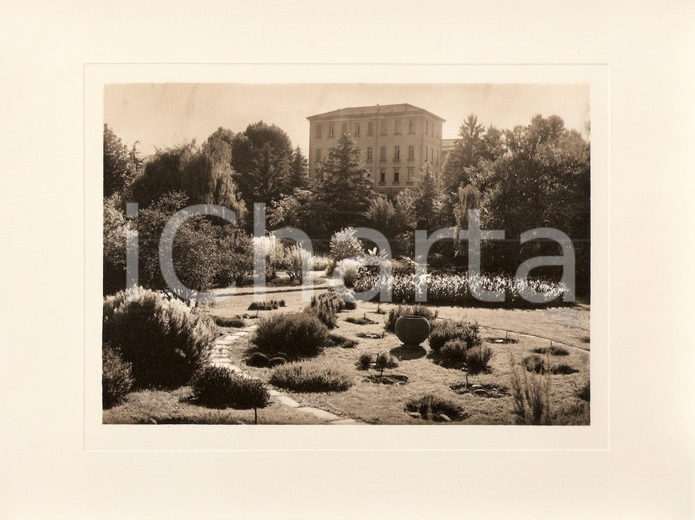 Fotografia d epoca originale 1940 VERBANIA INTRA Villa TARANTO Giardino botanico terrazzato Foto AUTENTICA 1